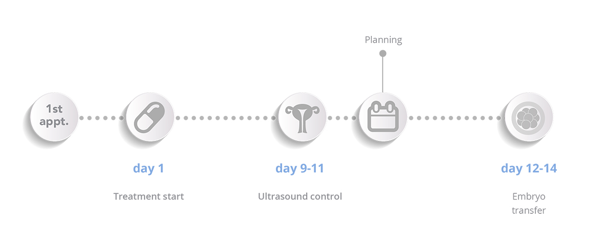 Embryo donation - Schema