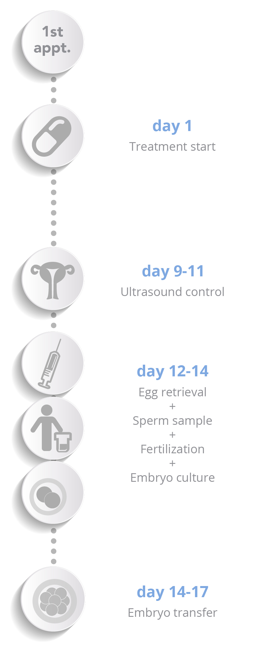 In vitro fertilisation - Schema verticale