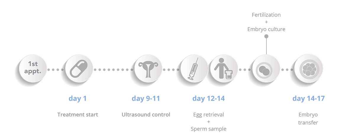 In vitro fertilisation - Schema