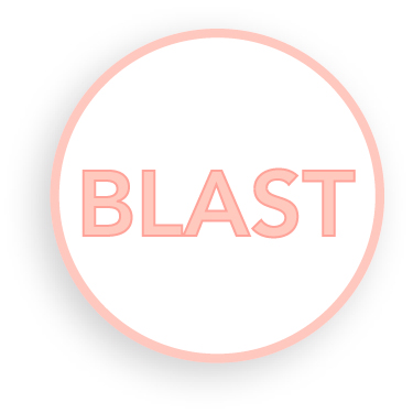 Blastocyst culture