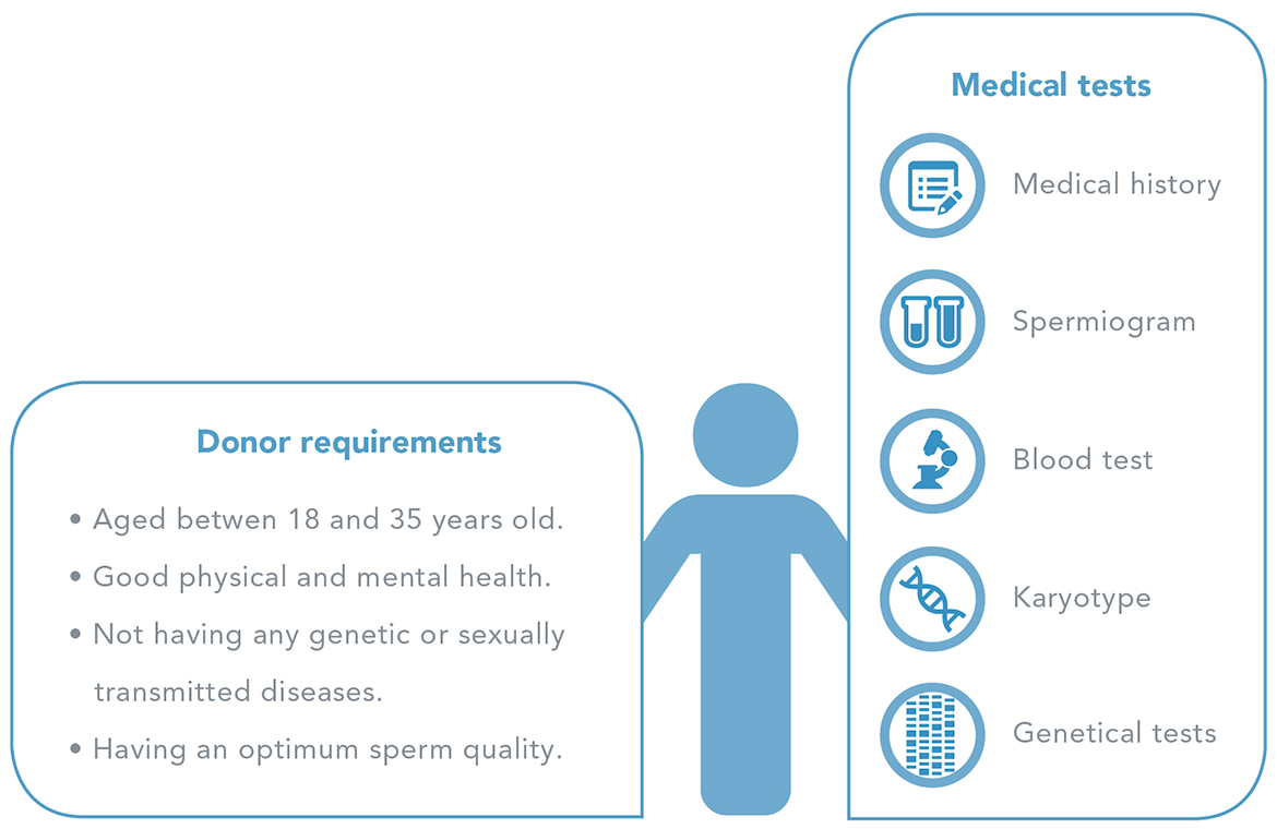 Donor selection and performed tests - Men